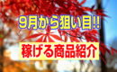 【商品紹介】9月からの仕入れにオススメ商品！